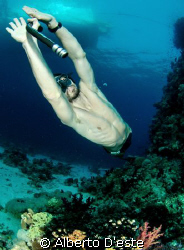 Marco in apnea dive by Alberto D'este 
